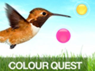 Color Quest