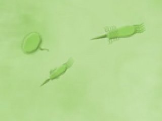 Cyto Life - 3 