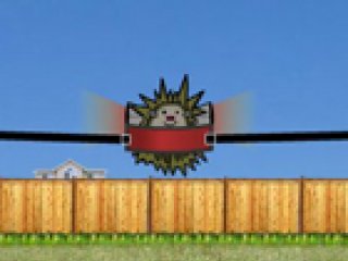 Hedgehog Launch - 1 