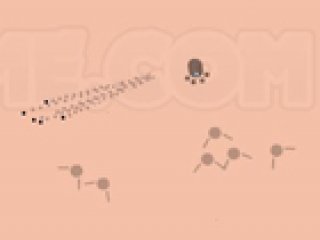 Pixel - 1 
