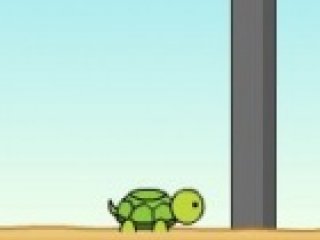 Turtle Run - 1 
