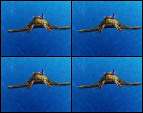 Bruņurupucis peld pa Austrumu Austrāliešu plūsmu, savācot kopā arī citus bruņurupučus. Nedrīkst izpeldēt ārā no plūsmas, vajag savākt bruņurupuču mazuļus un izvairīties no medūzām. Pārvietošanās ar tastatūras bultiņām.