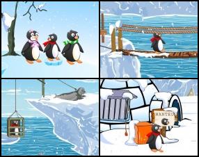 Kaut kādā veidā daba tevi ir nošķīrusi no tavas ģimenes. Tavs uzdevums ir atrast ceļu pāri visai Antarktīdai, lai tiktu atpakaļ pie saviem pingvīnu vecākiem. Izmanto peli, lai meklētu un klikšķinātu uz objektiem, apvienotu tos un tiktu garām visām scēnām.