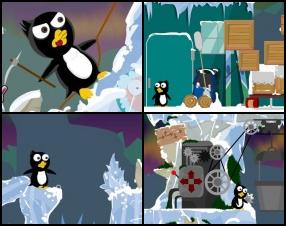 Tavs mērķis ir palīdzēt mazajam pingvīnam vārdā Pēteris apturēt globālo sasilšanu un izglābt savas mājas Antarktīdā. Izmanto savas domāšanas un loģiskās prasmes, lai izvestu Pēteri cauri Antarktīdai un izglābtu planētu. Izmanto peli, lai klikšķinātu uz objektiem un apkārtni.