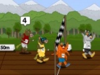 Animal Raceway