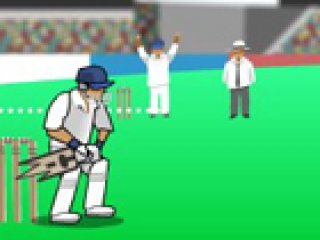 Ashes 2 Ashes - Zombie Cricket