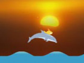 Dolphin olympics 2 - 1 