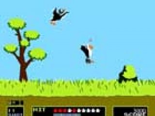 Duck hunt - 1 
