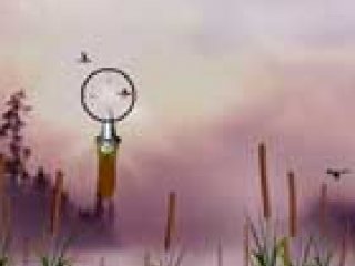 Duck hunter - 1 