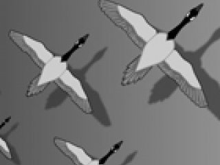 Endless Migration