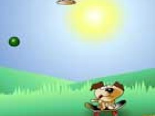 Frisbee dog - 1 