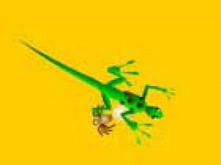 Lizard Dude - 1 