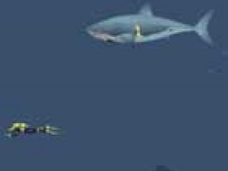 Mad Shark - 1 
