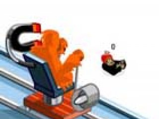 Monkey curling - 1 