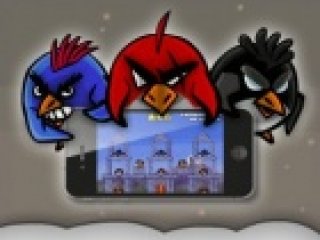 Penguin Slice - 1 