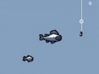 Radical Fishing - 2 