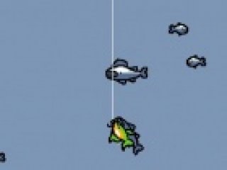Radical Fishing