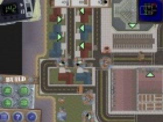 Shattered Colony