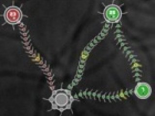 Tentacle Wars - 5 