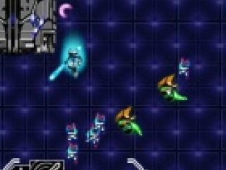 Xenos